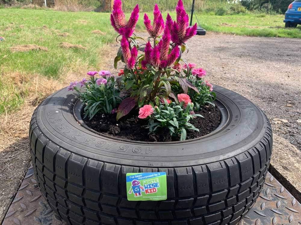 Old tyre made into a planter