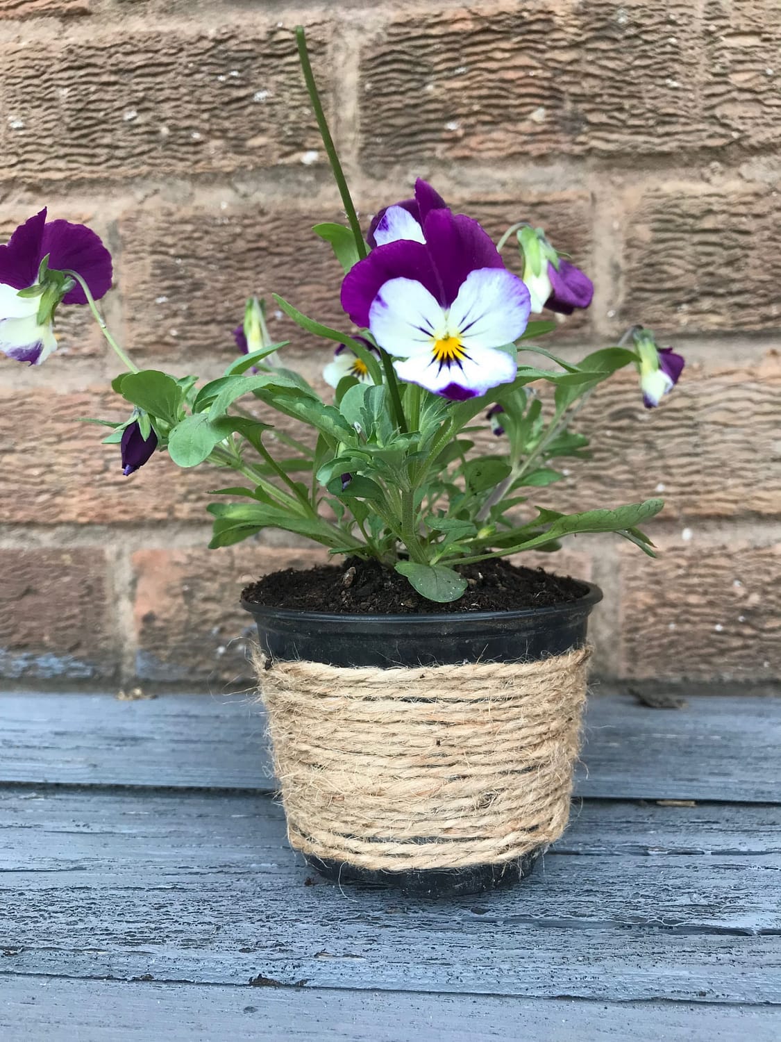 Plastic plant pot decorated with string