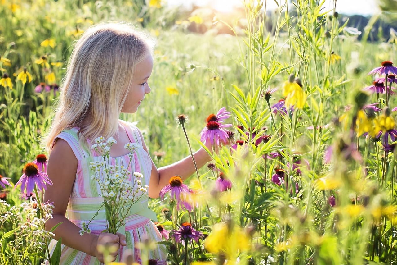 child looking at wildflowers