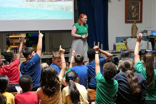 Empowering Sustainability Education at St Vincent de Paul Primary School in Westminster