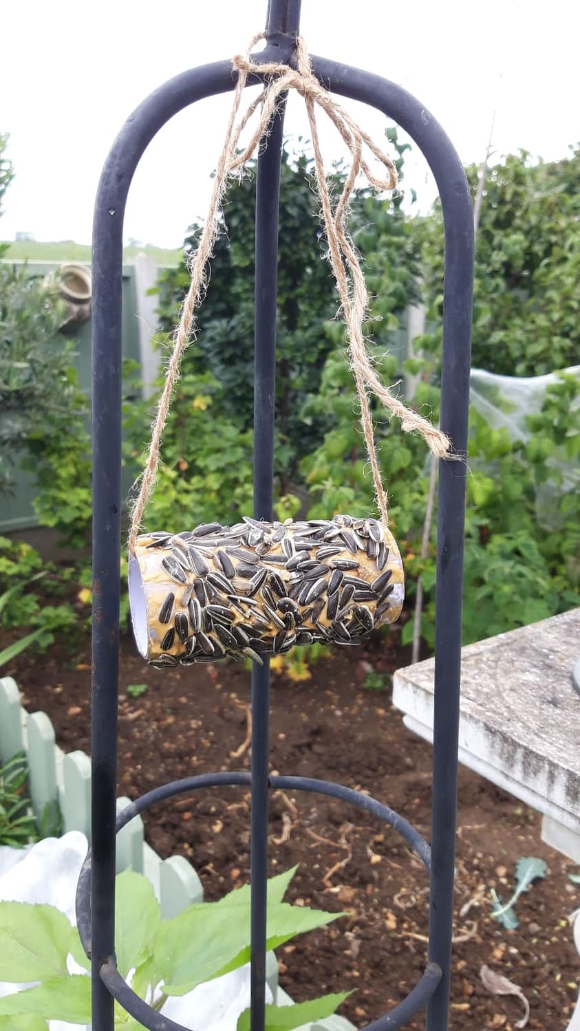 Bird feeder made from common house hold objects